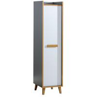 BÜCHERREGAL FIABA 47,3/195,2/55 cm Wohnzimmerregal Hochschrank Regal Anthrazit - Anthrazit, Holzwerkstoff (47.3/195.2/55cm) - MASSENO