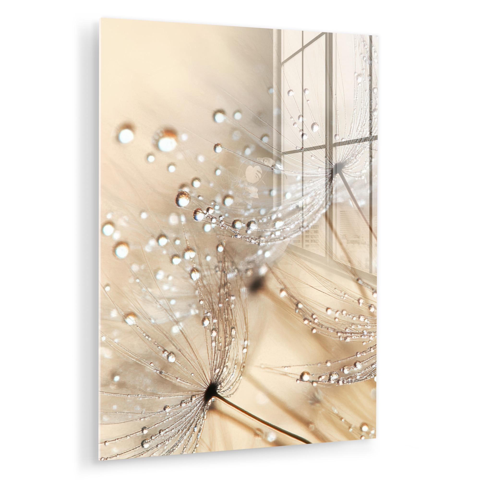 ACRYLGLASBILD Löwenzahn - Abstrakt - Natur - Beige 60x80 cm - Braun, Glas (60/80cm) - MuchoWow