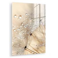 ACRYLGLASBILD Löwenzahn - Abstrakt - Natur - Beige 60x80 cm - Braun, Glas (60/80cm) - MuchoWow