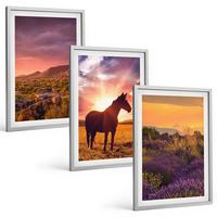 BILDER SET 3er Set - 40x60 cm Silberner Rahmen - Berglandschaft mit einem Pferd - Silberfarben, Kunststoff (40/60cm) - TULUP