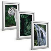 BILDER SET 3er Set - 20x30 cm Silberner Rahmen - Wasserfall aus weißen Tigerblättern - Silberfarben, Kunststoff (20/30cm) - TULUP