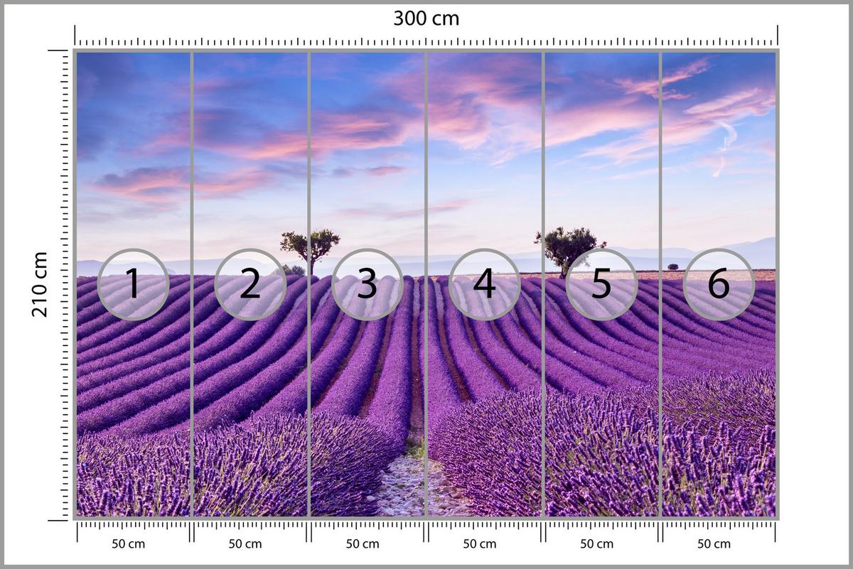 FOTOTAPETE für Küche Lavendelfeld Lila Natur Sträucher 300x210 - Blau/Violett, Papier (300/210cm) - Muralo