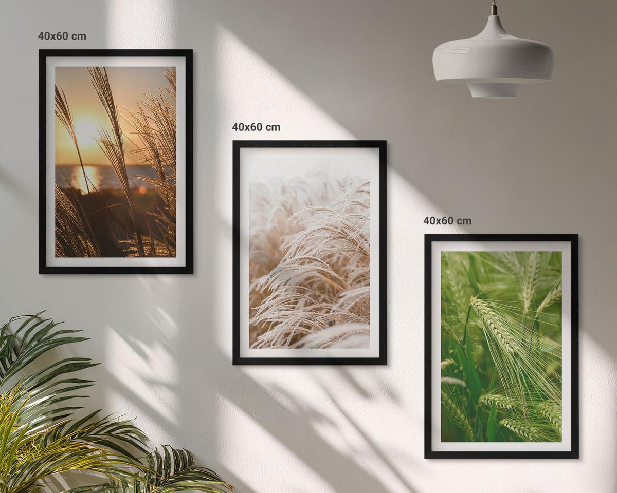 BILDER SET 3er Set - 40x60 cm Schwarzer Rahmen - Gräser farbenfrohe Natur - Schwarz, Kunststoff (40/60cm) - TULUP