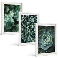 BILDER SET 3er Set - 40x60 cm Weißer Rahmen - Sukkulenten im Stil grüner Blätter - Weiß, Kunststoff (40/60cm) - TULUP