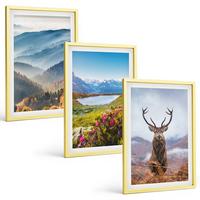 BILDER SET 3er Set - 40x60 cm Goldrahmen - Natur des Bergseehirsches - Goldfarben, Kunststoff (40/60cm) - TULUP