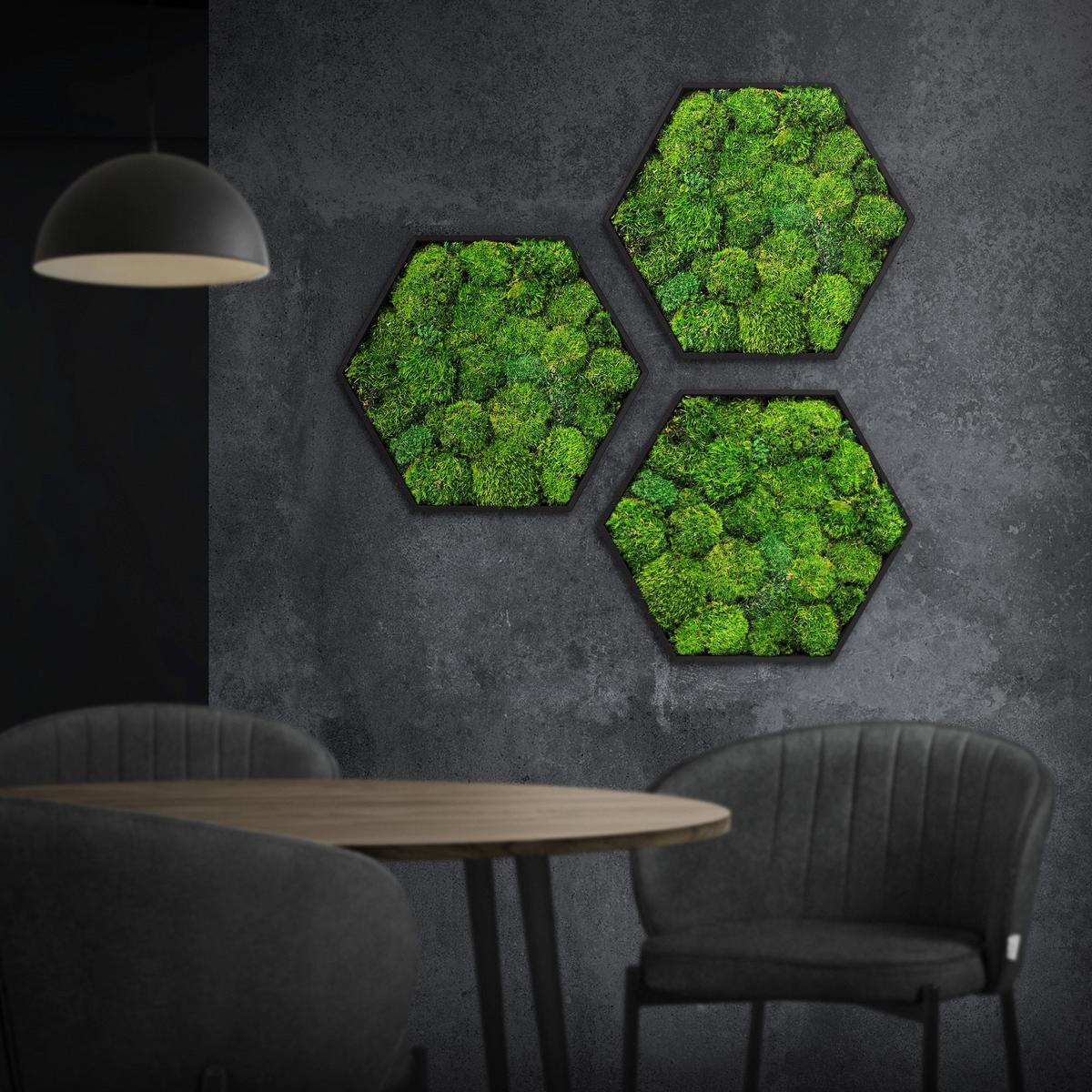 MOOSBILD Hexagon 38x34 cm Mooswand Indoor mit echtem Kugelmoos und Holzrahmen Grün Pflegefrei - Grün, Naturmaterialien (38/34/3.4cm) - ECD-Germany