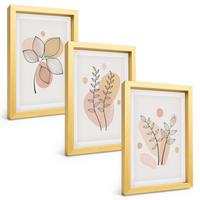 BILDER SET 3er Set - 20x30 cm Goldrahmen - Pastellfarbene Pflanzenzeichnungen - Goldfarben, Kunststoff (20/30cm) - TULUP