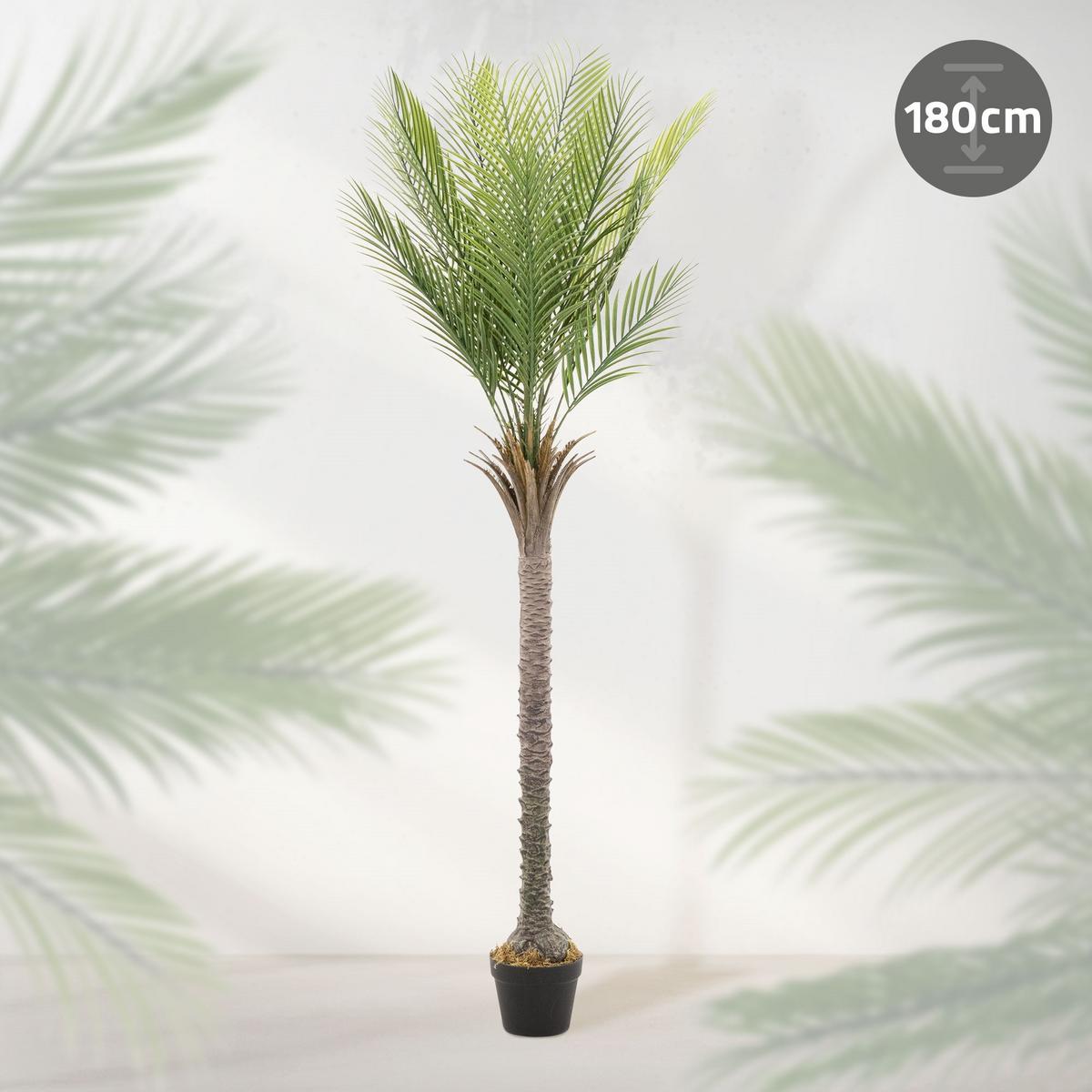 KUNSTPFLANZE Palme - Anthrazit/Grün, Holz/Kunststoff (180cm) - ML-DESIGN