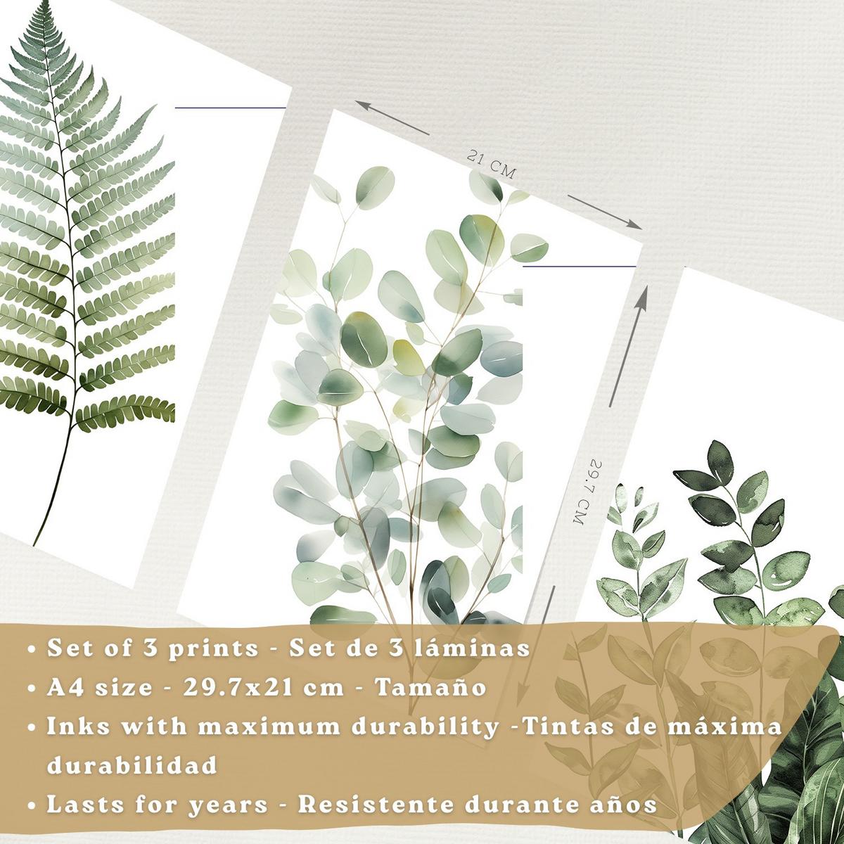 POSTER 3er Bilder-Set Wandbilder Botanisch Grün modern Wohnzimmer Deko, Schlafzimmer, Küche, Badezimmer Leichter Holzrahmen A4 - Beige, Papier (29.7/1/21cm) - Nacnic