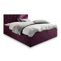 BOXBETT RIVA 180x200 cm mit Matratze und Topper, H2+H3 - Violett - Violett, Holz (180/200cm) - MASSENO