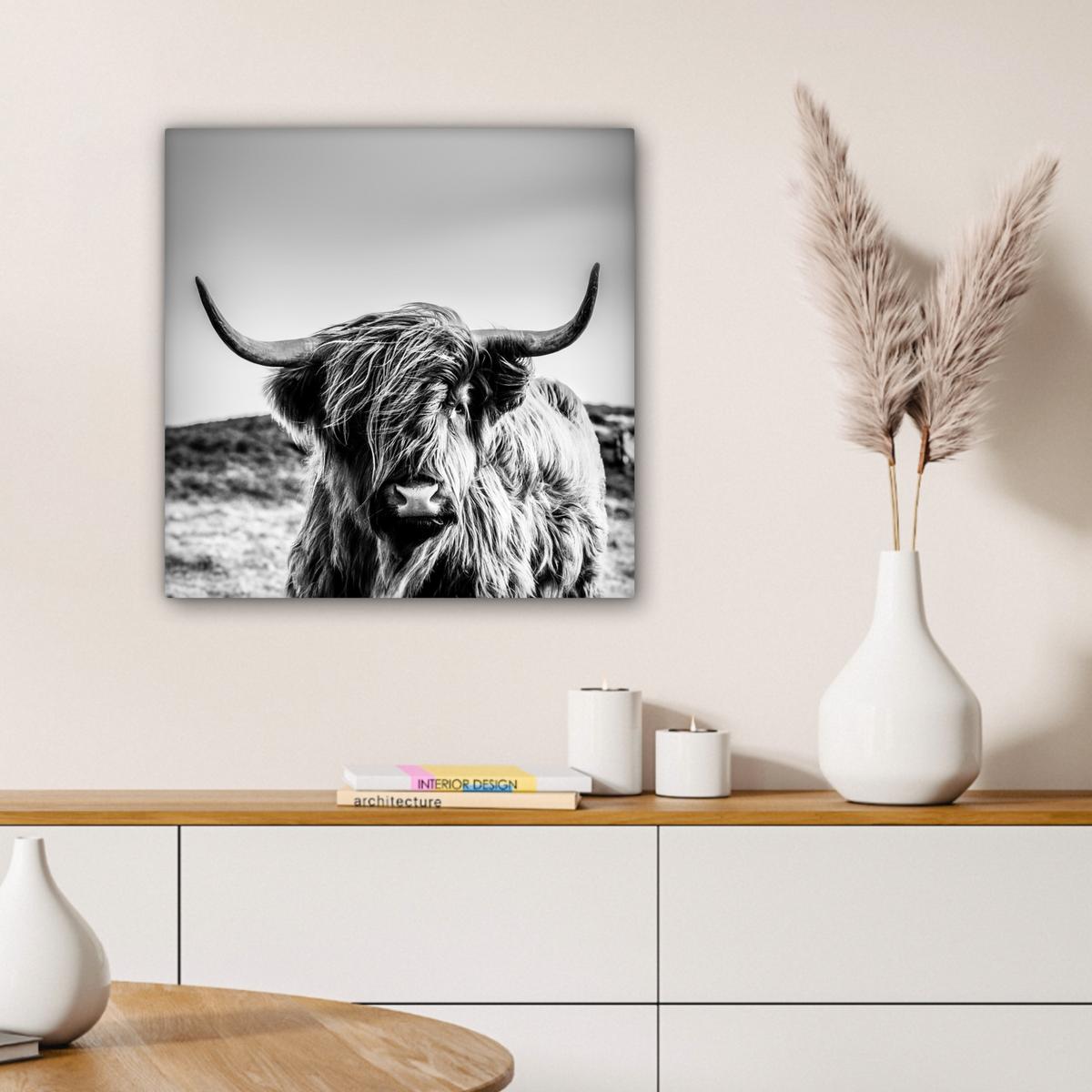 LEINWANDBILD Kuh - Schottischer Hochländer - Schwarz - Weiß - Tier - Natur - Wildtiere Wandbild Wohnzimmer 50x50 cm - Schwarz, Textil (50/50cm) - MuchoWow