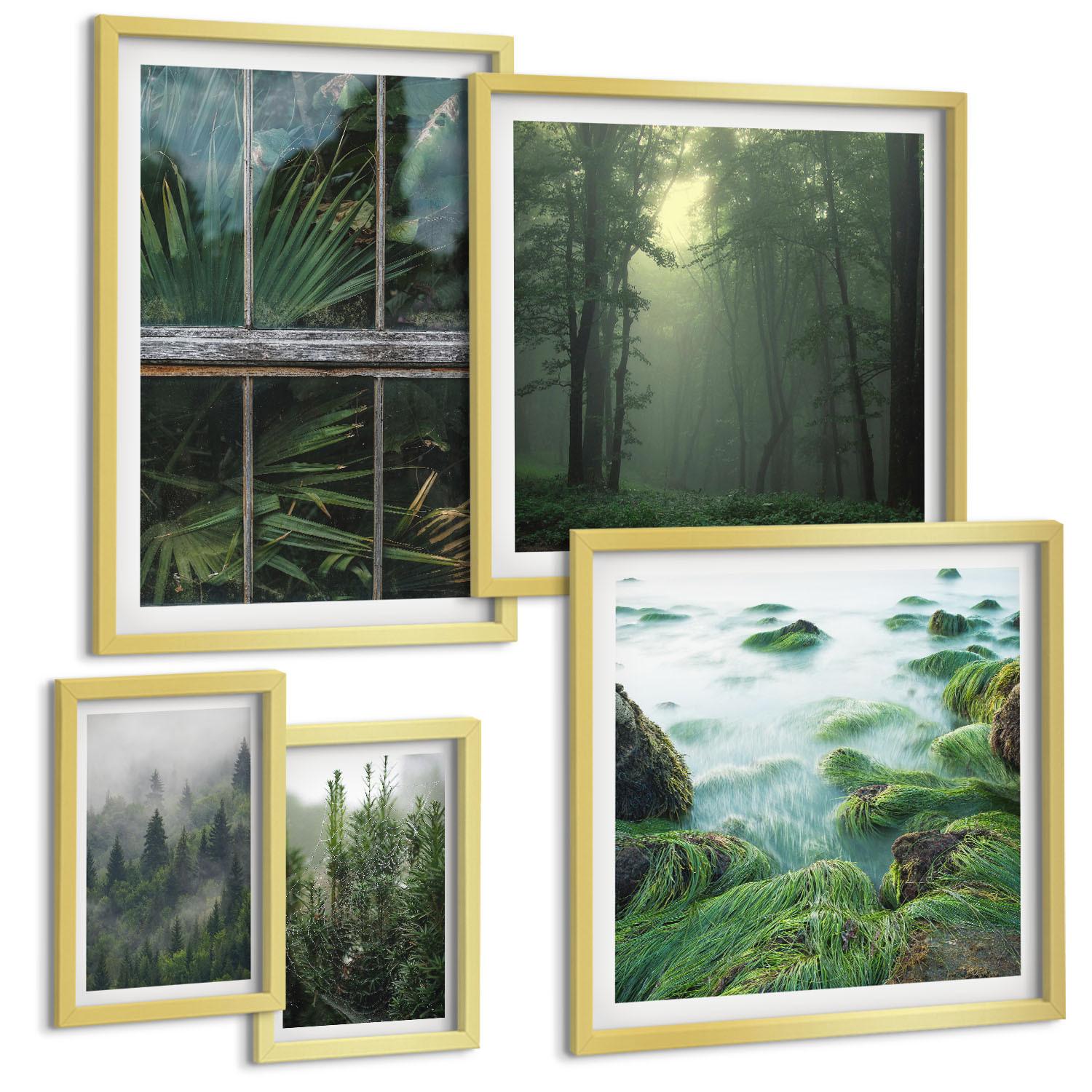 BILDER SET 5er Set - 50x50 cm & 20x30 cm & 40x60 cm Goldrahmen - Nahaufnahmen von Blättern sukkulenter Pflanzen - Goldfarben, Kunststoff (40/60cm) - TULUP