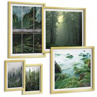 BILDER SET 5er Set - 50x50 cm & 20x30 cm & 40x60 cm Goldrahmen - Nahaufnahmen von Blättern sukkulenter Pflanzen - Goldfarben, Kunststoff (40/60cm) - TULUP
