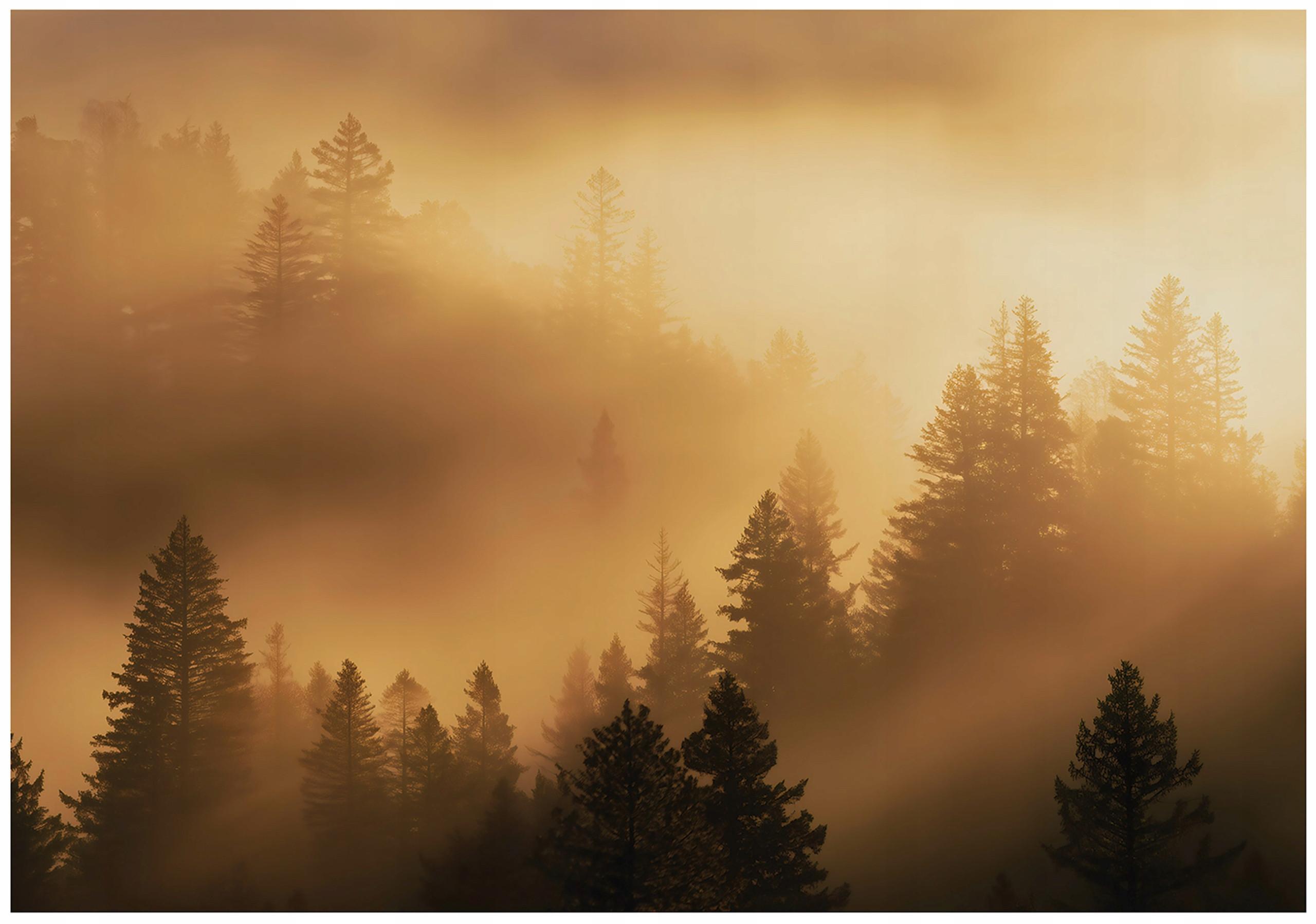FOTOTAPETE Wald Nebel Beige 400x280 cm - Multicolor, Papier (400/280cm) - Wallarena