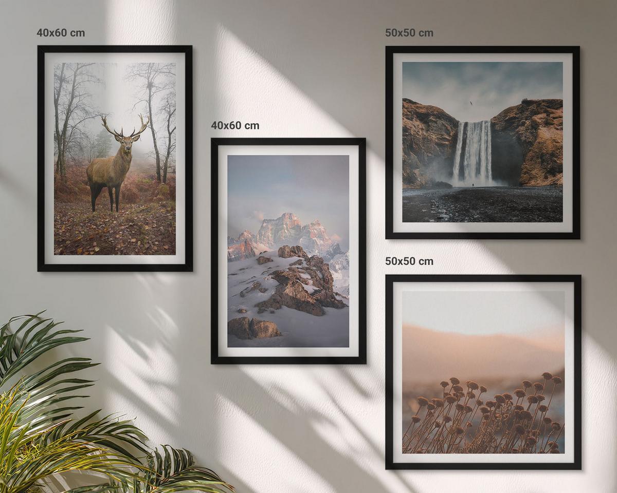 BILDER SET 4er Set - 50x50 cm & 40x60 cm Schwarzer Rahmen - Wilde Landschaften, Berge, Hirsche - Schwarz, Kunststoff (50/50cm) - TULUP