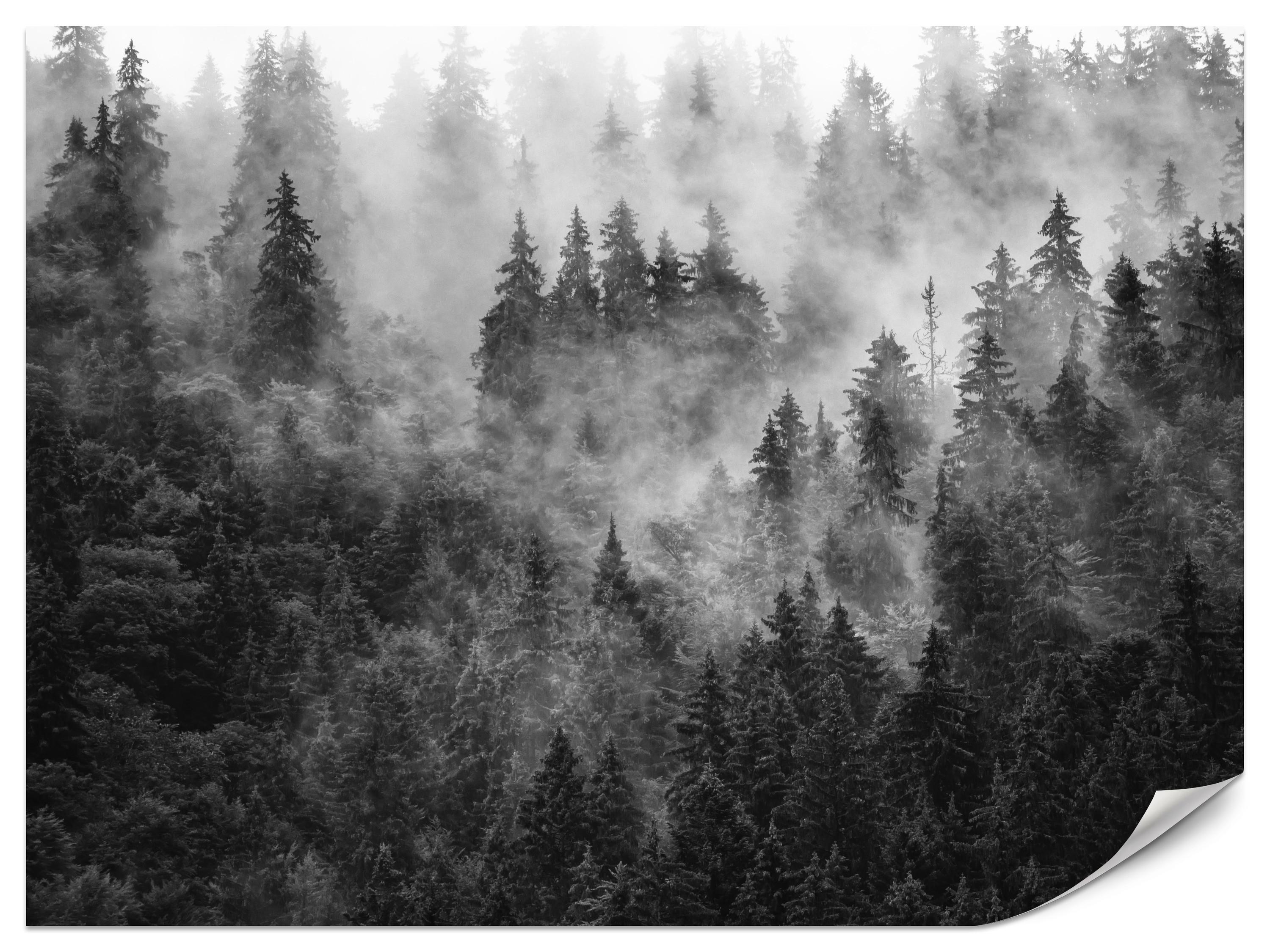 FOTOTAPETE für Wohnzimmer Dichter Nebel Forst Bäume 450x315 - Schwarz/Weiß, Papier (450/315cm) - Muralo
