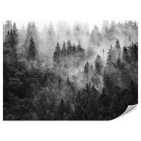 FOTOTAPETE für Wohnzimmer Dichter Nebel Forst Bäume 450x315 - Schwarz/Weiß, Papier (450/315cm) - Muralo