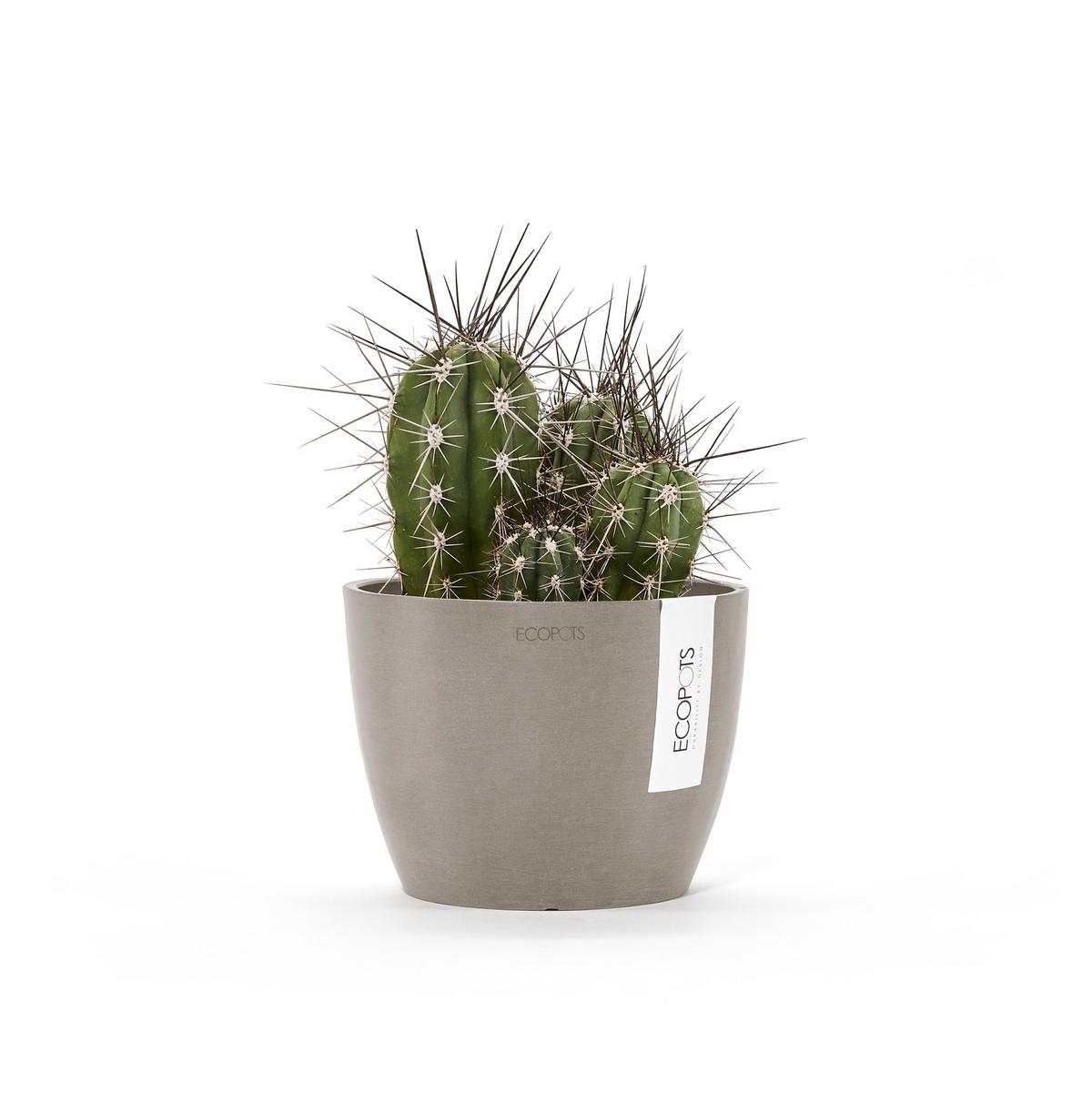 BLUMENTOPF Stockholm Mini 16,2/12 cm Taupe - Taupe, Kunststoff (16.2/12cm) - Ecopots