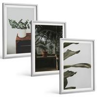 BILDER SET 3er Set - 40x60 cm Silberner Rahmen - Rustikale Topfpflanzen - Silberfarben, Kunststoff (40/60cm) - TULUP