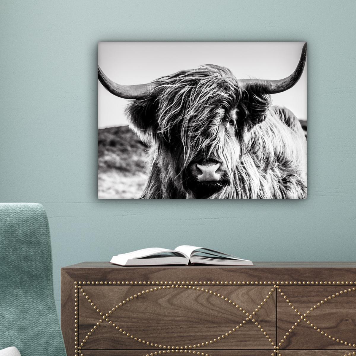 LEINWANDBILD Kuh - Schottischer Hochländer - Schwarz - Weiß - Tier - Natur - Wildtiere Wandbild 40x30 cm - Schwarz, Textil (40/30cm) - MuchoWow