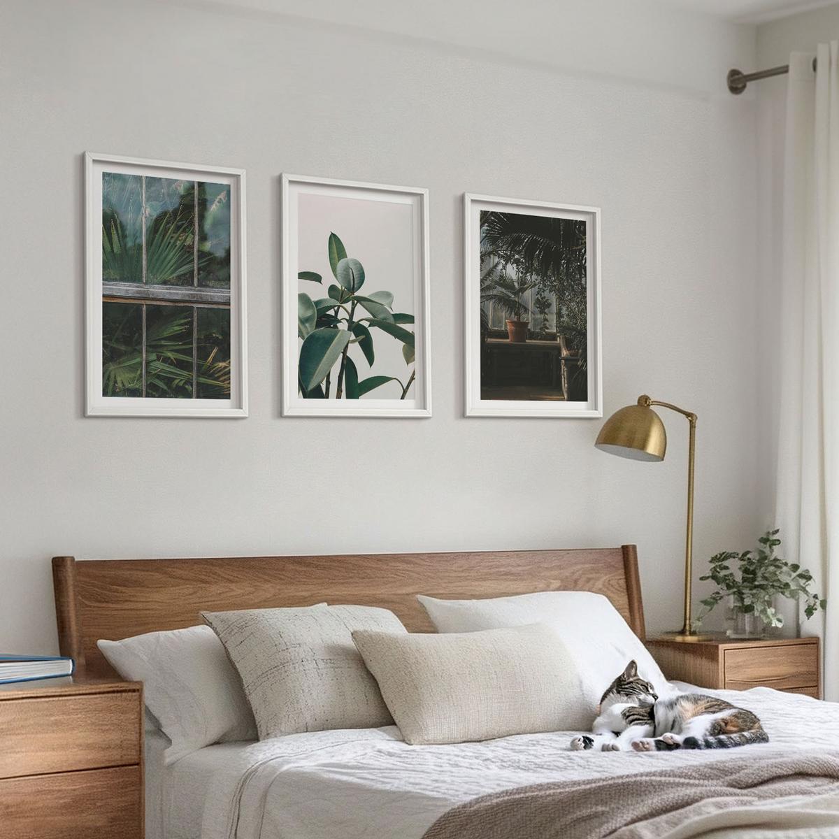 BILDER SET 3er Set - 40x60 cm Weißer Rahmen - Grüne Blätter an der Fensterpflanze - Weiß, Kunststoff (40/60cm) - TULUP