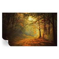 FOTOTAPETE 416x254 cm - Herbstlandschaft - Gelb, Textil (416/254cm) - Wallfluent