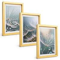 BILDER SET 3er Set - 20x30 cm Goldrahmen - Wassertropfen auf Löwenzahnsprossen - Goldfarben, Kunststoff (20/30cm) - TULUP