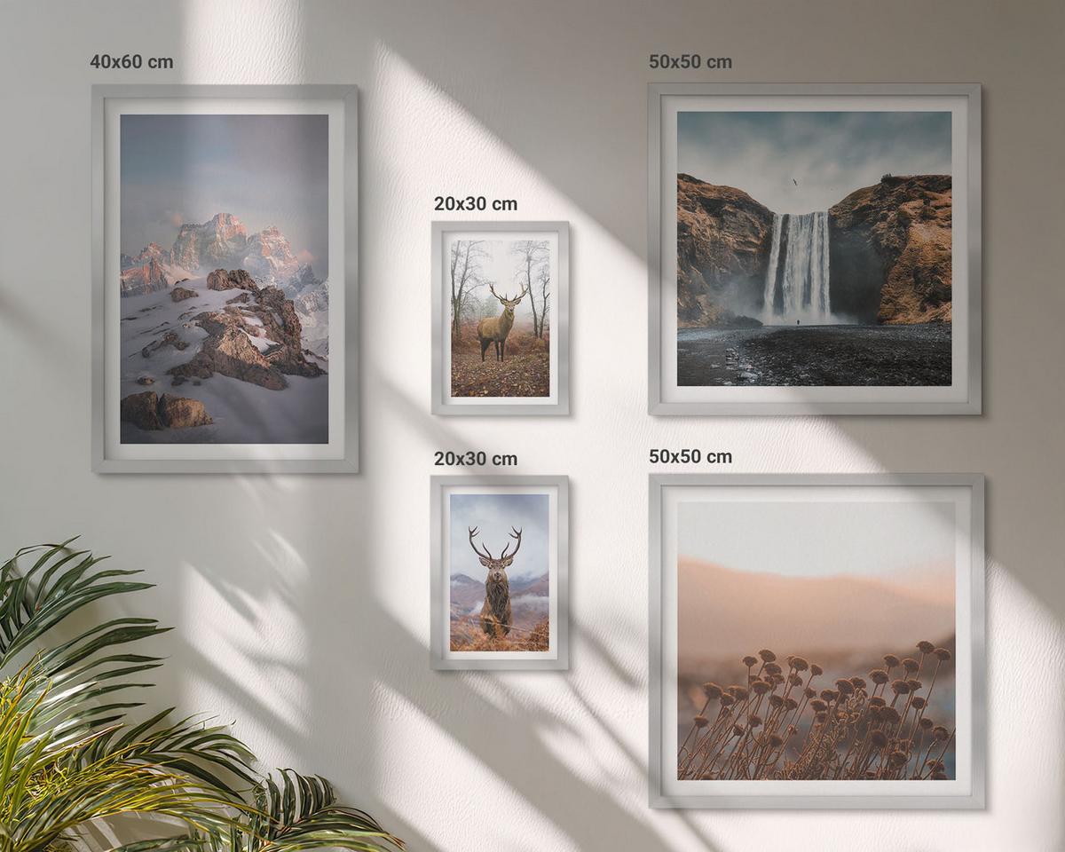 BILDER SET 5er Set - 50x50 cm & 20x30 cm & 40x60 cm Silberner Rahmen - Urlaub Palmen Wasserfall - Silberfarben, Kunststoff (40/60cm) - TULUP