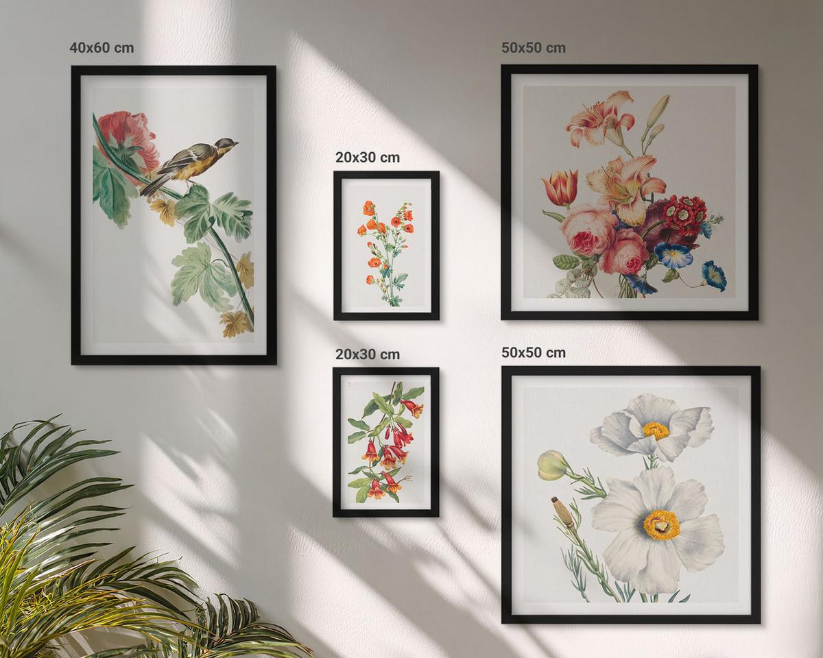 BILDER SET 5er Set - 50x50 cm & 20x30 cm & 40x60 cm Schwarzer Rahmen - Gemalte Blumen, Retro-Vogel - Schwarz, Kunststoff (40/60cm) - TULUP