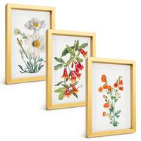 BILDER SET 3er Set - 20x30 cm Goldrahmen - Retro-Blumenarrangements - Goldfarben, Kunststoff (20/30cm) - TULUP