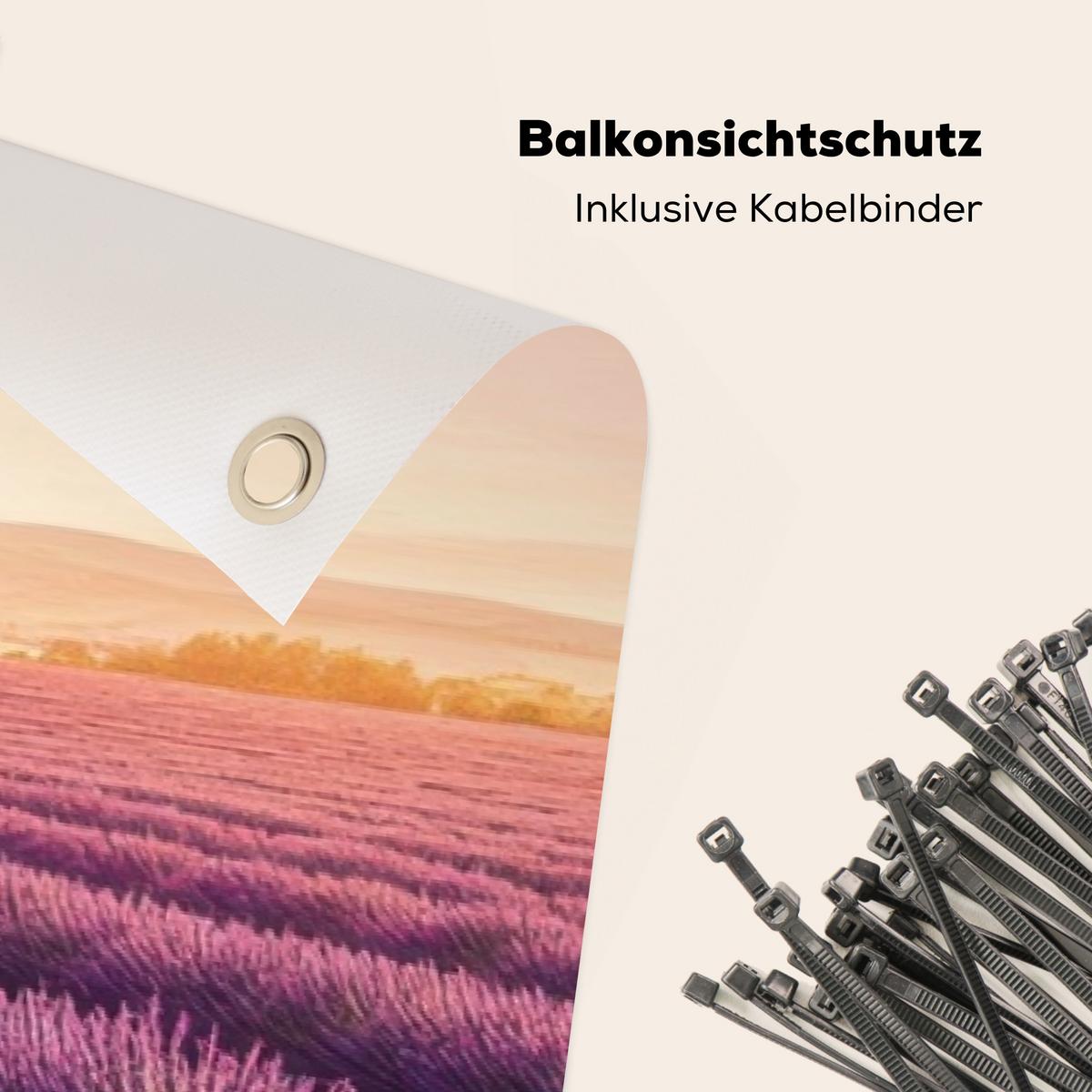 BALKON-SICHTSCHUTZ Lavendelfeld - Sonnenuntergang - Lila - Blumen Windschutz 300x90 cm - Violett, Kunststoff (300/90cm) - MuchoWow