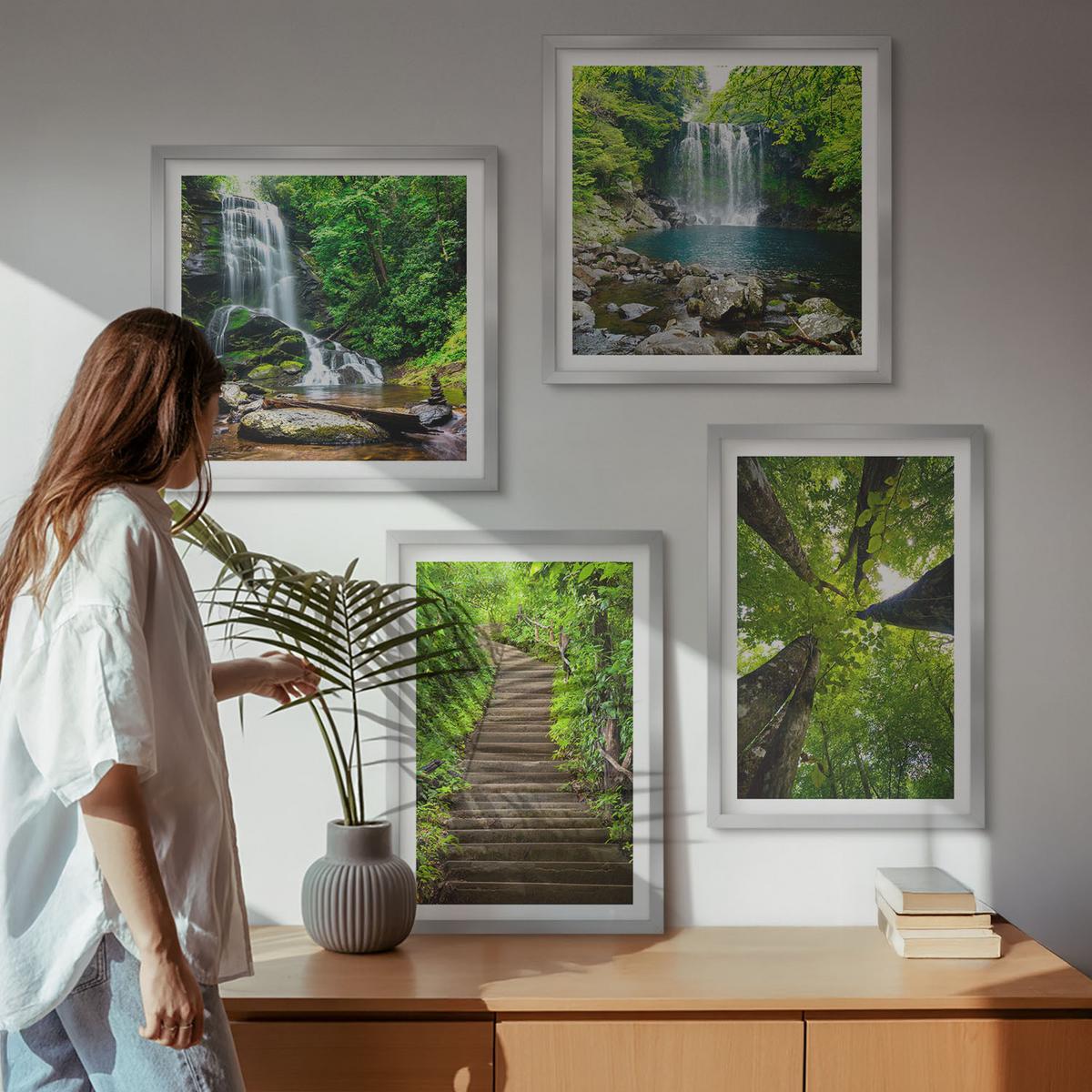 BILDER SET 4er Set - 50x50 cm & 40x60 cm Silberner Rahmen - Pfad Wald Wasserfall Vegetation - Silberfarben, Kunststoff (50/50cm) - TULUP
