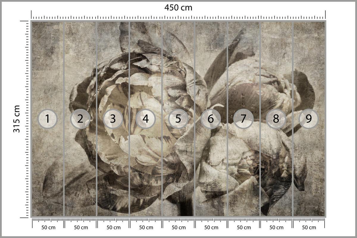 FOTOTAPETE Pfingstrosen Blumen Beton Vintage 450x315 - Beige/Braun, Papier (450/315cm) - Muralo