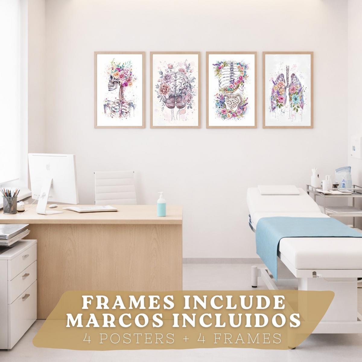 POSTER Set aus 4 Anatomie Mensch Drucke und mit Schädel Lungen Verdauungssystem und Gehirn Florales Aquarell Design Größe Leichter Holzrahmen A4 - Beige, Papier (21/29.7/3cm) - Nacnic