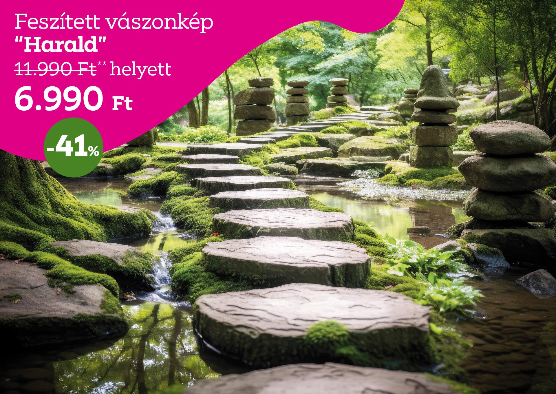 Feszített vászonkép HARALD 11990 Forint helyett 6990 Forint, kedvezmény mértéke 41%