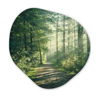 WANDBILD Wald - Weg - Sonne - Bäume - Grün - Natur Wandbild 60x60 cm - Waldgrün, Kunststoff (60/60cm) - MuchoWow