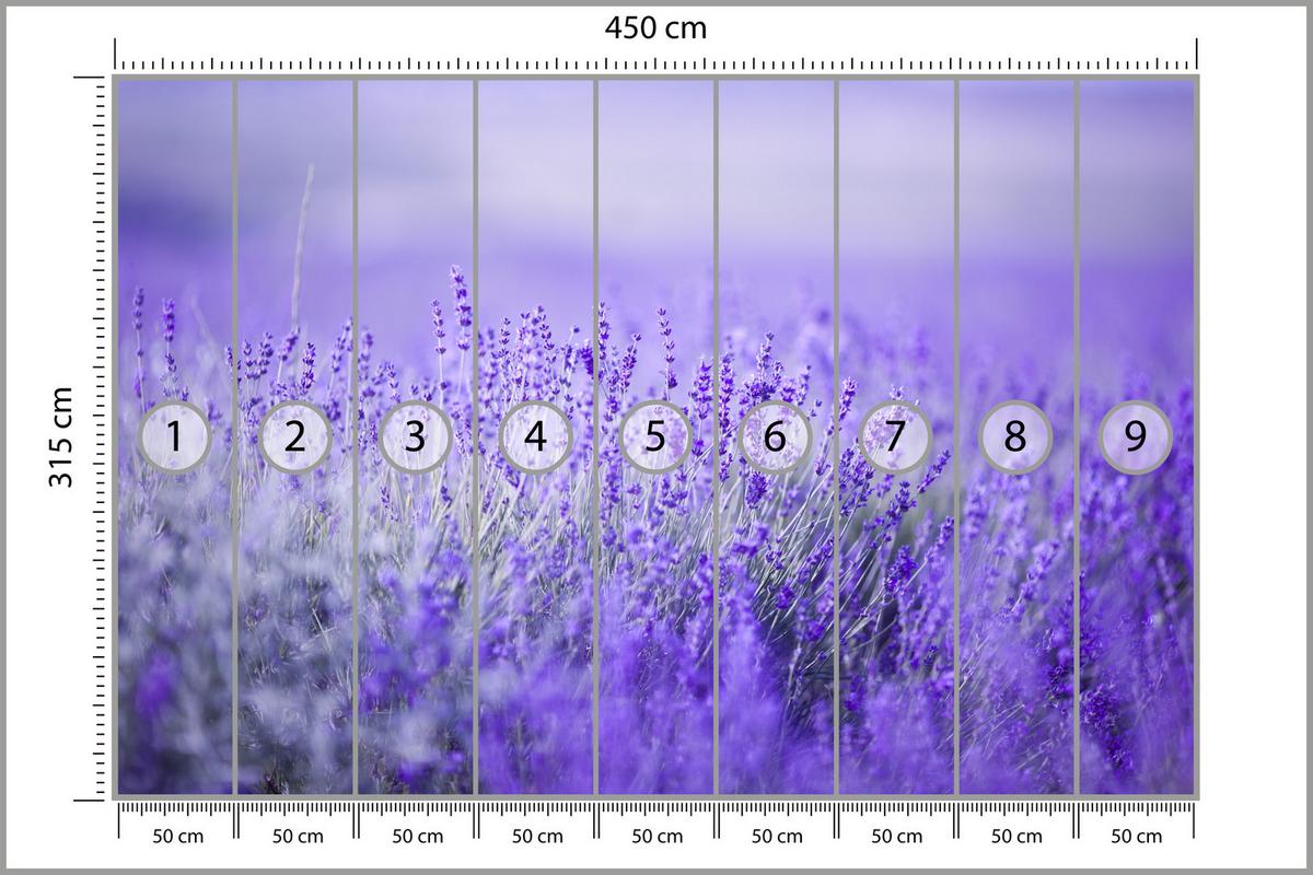 FOTOTAPETE für Küche Lavendelwiese Blüten Fliederfeld 450x315 - Violett/Lila, Papier (450/315cm) - Muralo