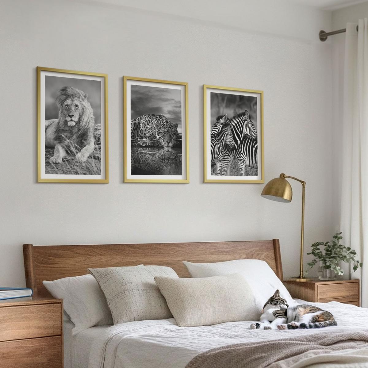 BILDER SET 3er Set - 40x60 cm Goldrahmen - Wildtiere der Savanne - Goldfarben, Kunststoff (40/60cm) - TULUP