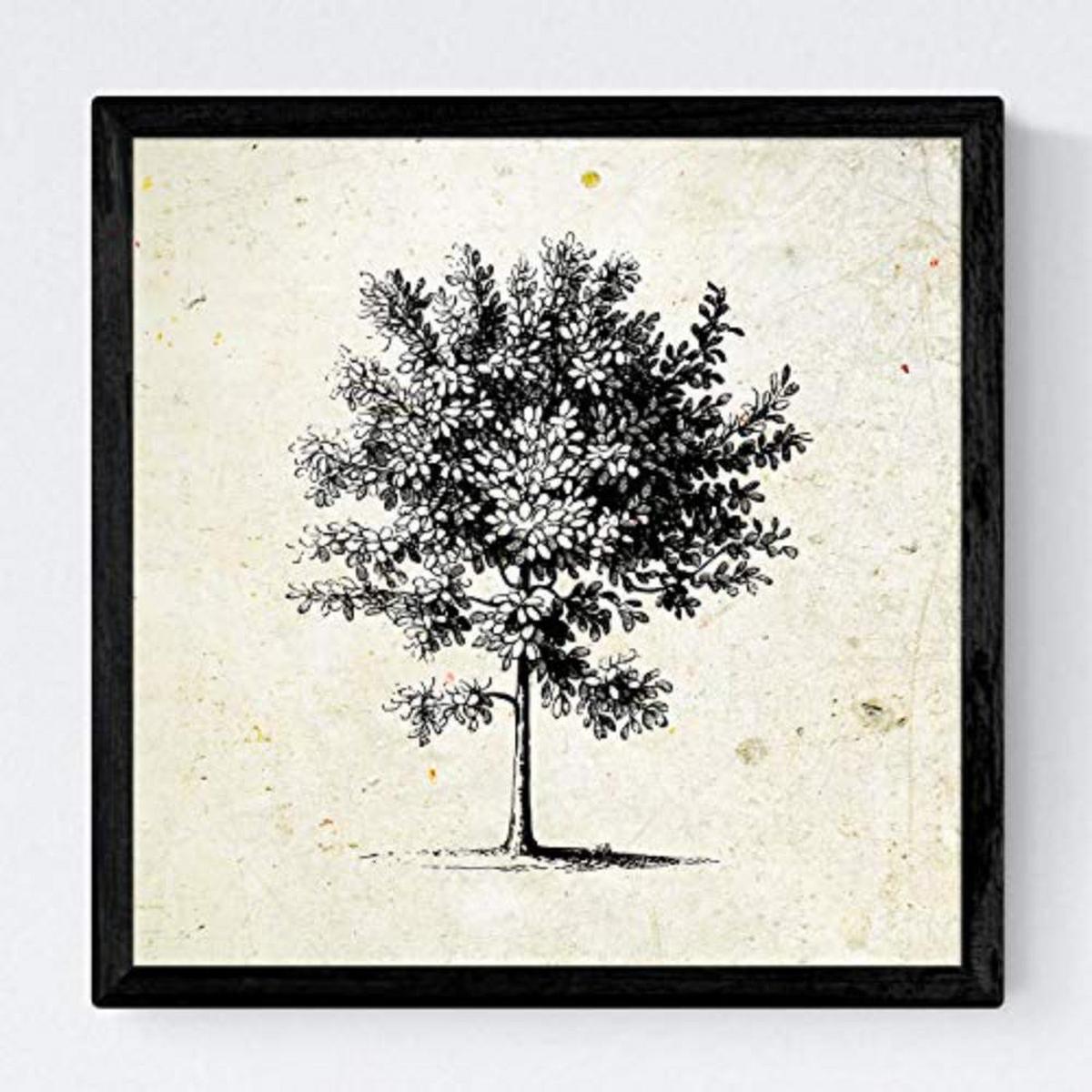 POSTER Set mit 4 Blättern der Bäume mittlerer, Jahrgang Hintergrund 20x20cm Schwarzer Rahmen - Schwarz, Papier (20/3cm) - Nacnic