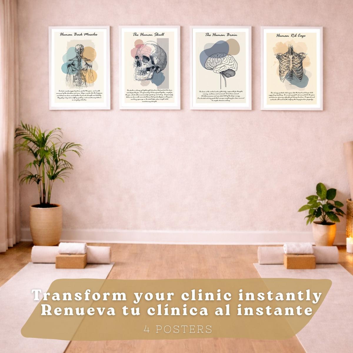 POSTER Set aus 4 Anatomie Mensch Lernposter Drucke und Wandbilder mit Muskeln Rücken Rippen Gehirn und Schädel Modernes Design Größe Weißer Rahmen A3 - Weiß, Papier (29.7/42/3cm) - Nacnic