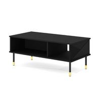 COUCHTISCH Schwarz, Gold 110/45/55 - Schwarz, Holzwerkstoff (55/110/45cm) - RAUMHIRSCH FURNITURE