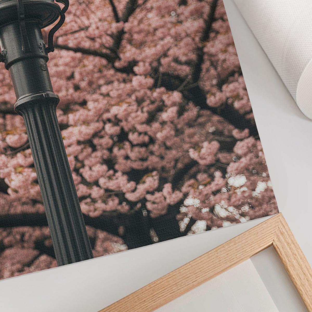POSTER - 29x42 cm - View - Frühlingslaterne - Pink, Textil (29/42/0.1cm) - TULUP