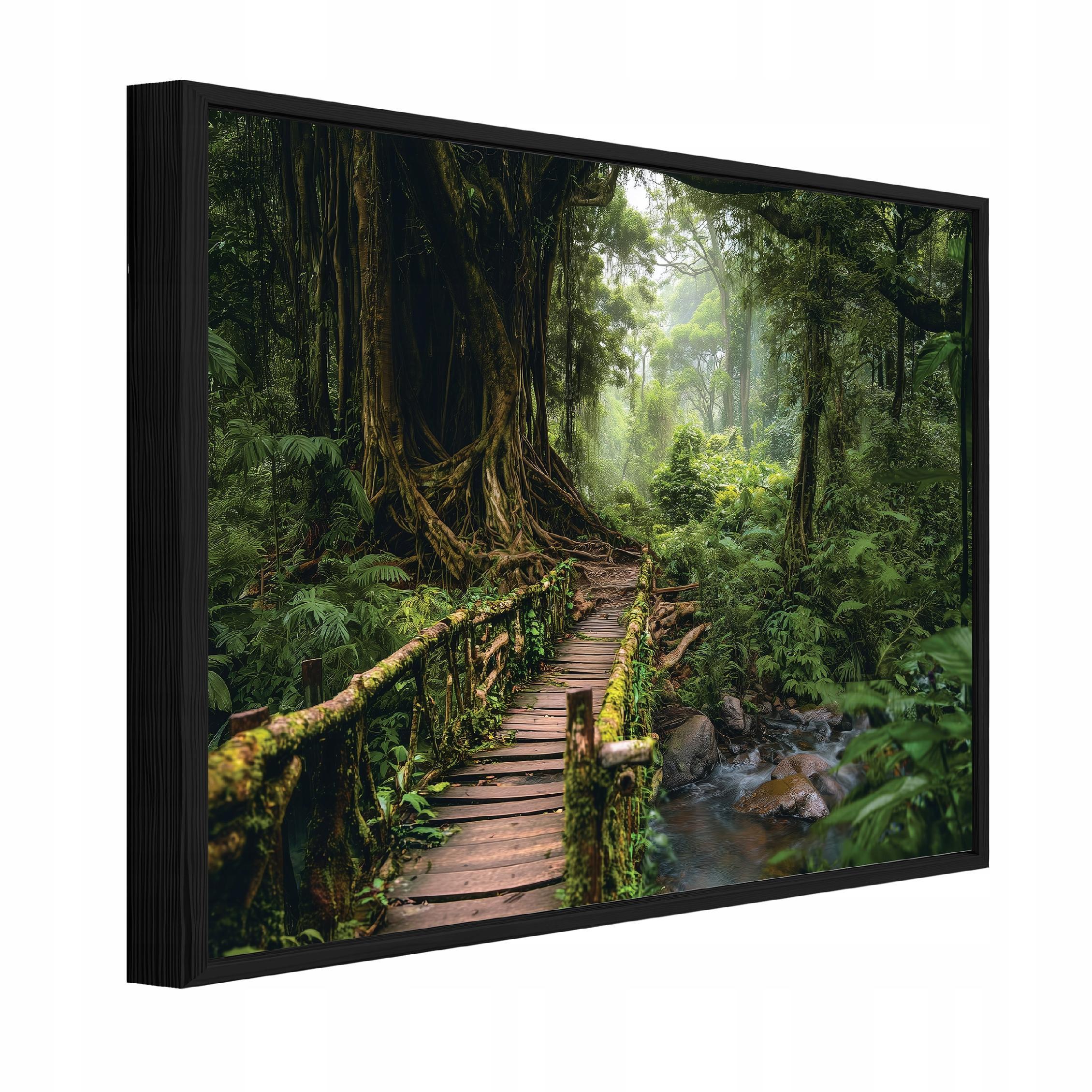 BILDER mit Rahmen Wald Bäume Grün 60x40 cm - Multicolor, Holzwerkstoff (60/40cm) - Wallarena