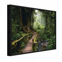 BILDER mit Rahmen Wald Bäume Grün 60x40 cm - Multicolor, Holzwerkstoff (60/40cm) - Wallarena