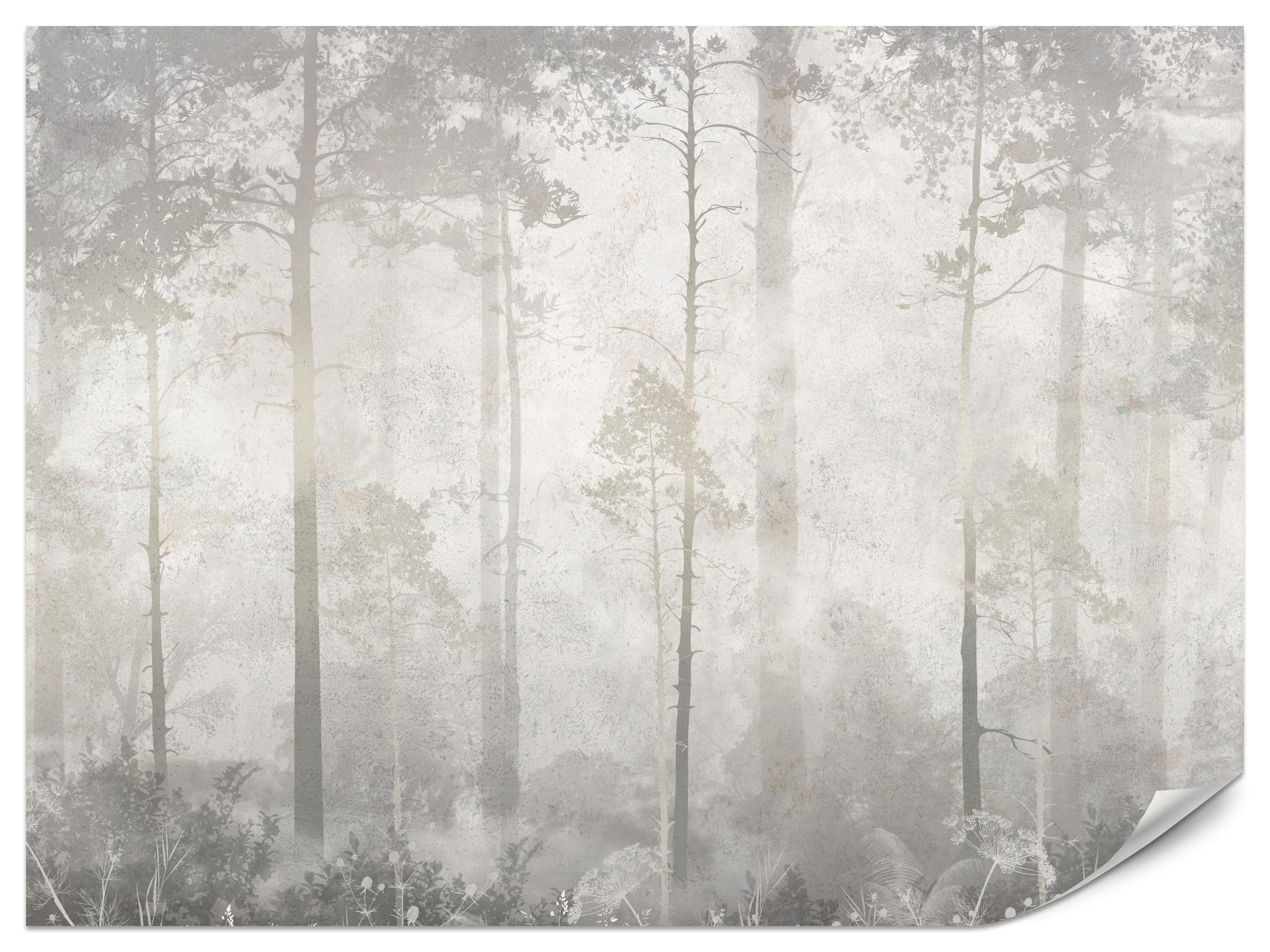 FOTOTAPETE für Wohnzimmer Nebliger Wald Vintage Bäume 400x280 - Beige/Grau, Papier (400/280cm) - Muralo