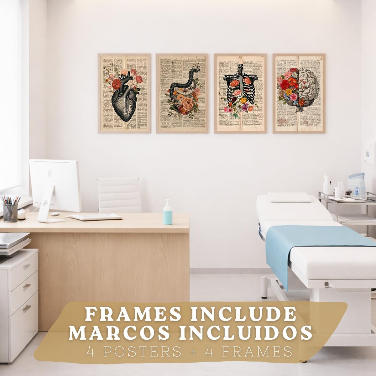 POSTER Set aus 4 Anatomie Drucke und Wandbilder mit Herz Gehirn Skelett und Darm Antiker Hintergrund Wanddekoration Größe Leichter Holzrahmen A4 - Beige, Papier (21/29.7/3cm) - Nacnic