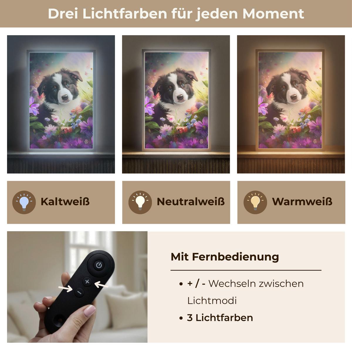 WANDLEUCHTE MIT AKKU Welpe - Sonne - Blumen - Natur - Border Collie - Hund 40x60 cm - Violett, Holzwerkstoff (40/60/8cm) - OnlyWow