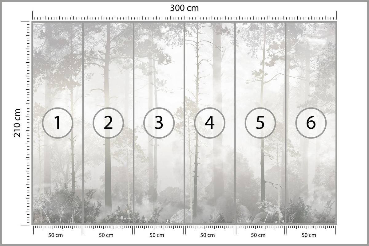 FOTOTAPETE für Schlafzimmer Nebliger Wald Bäume Sträucher Mystik 300x210 - Beige/Weiß, Papier (300/210cm) - Muralo