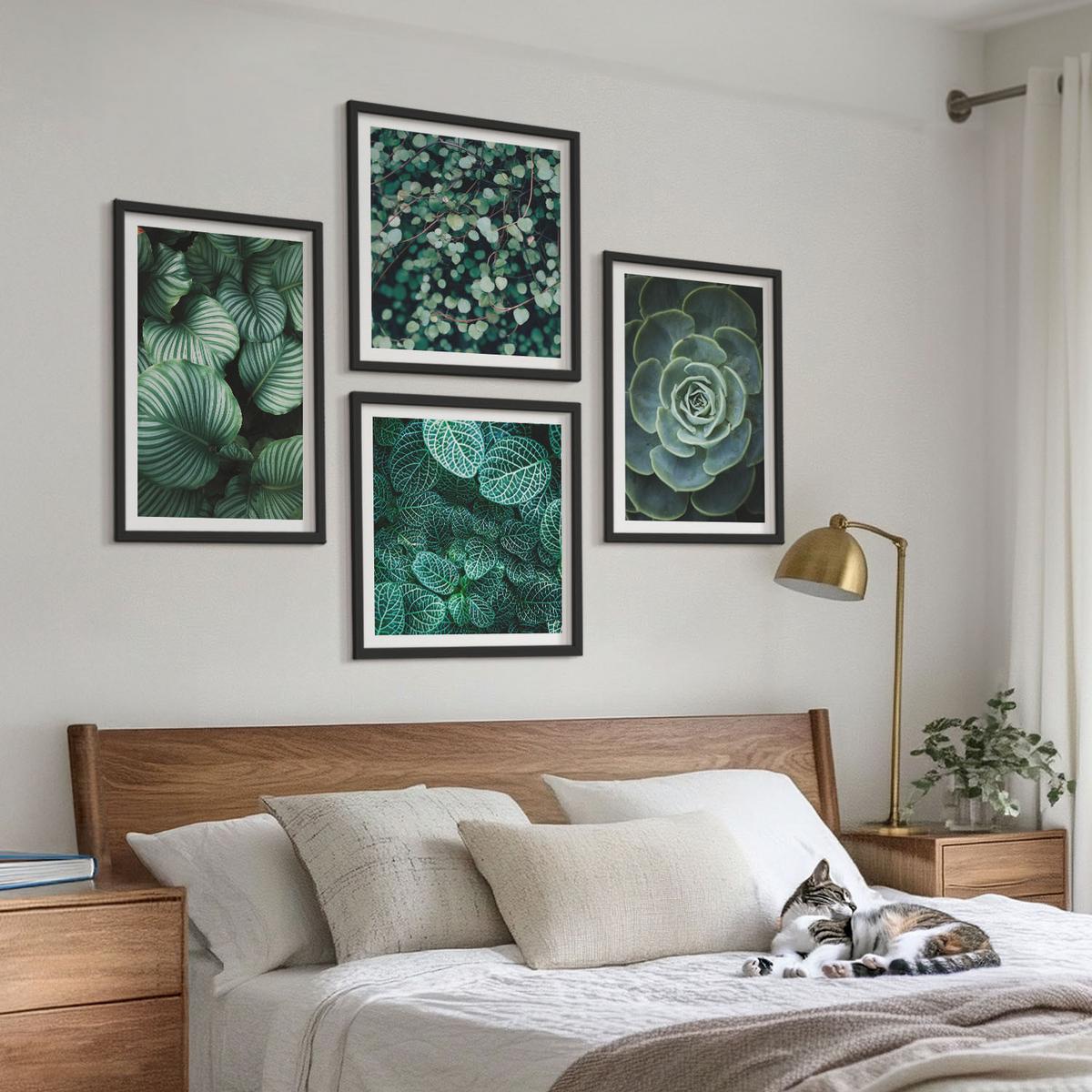 BILDER SET 4er Set - 50x50 cm & 40x60 cm Schwarzer Rahmen - Grüne Blätter von eleganten Sukkulenten - Schwarz, Kunststoff (50/50cm) - TULUP