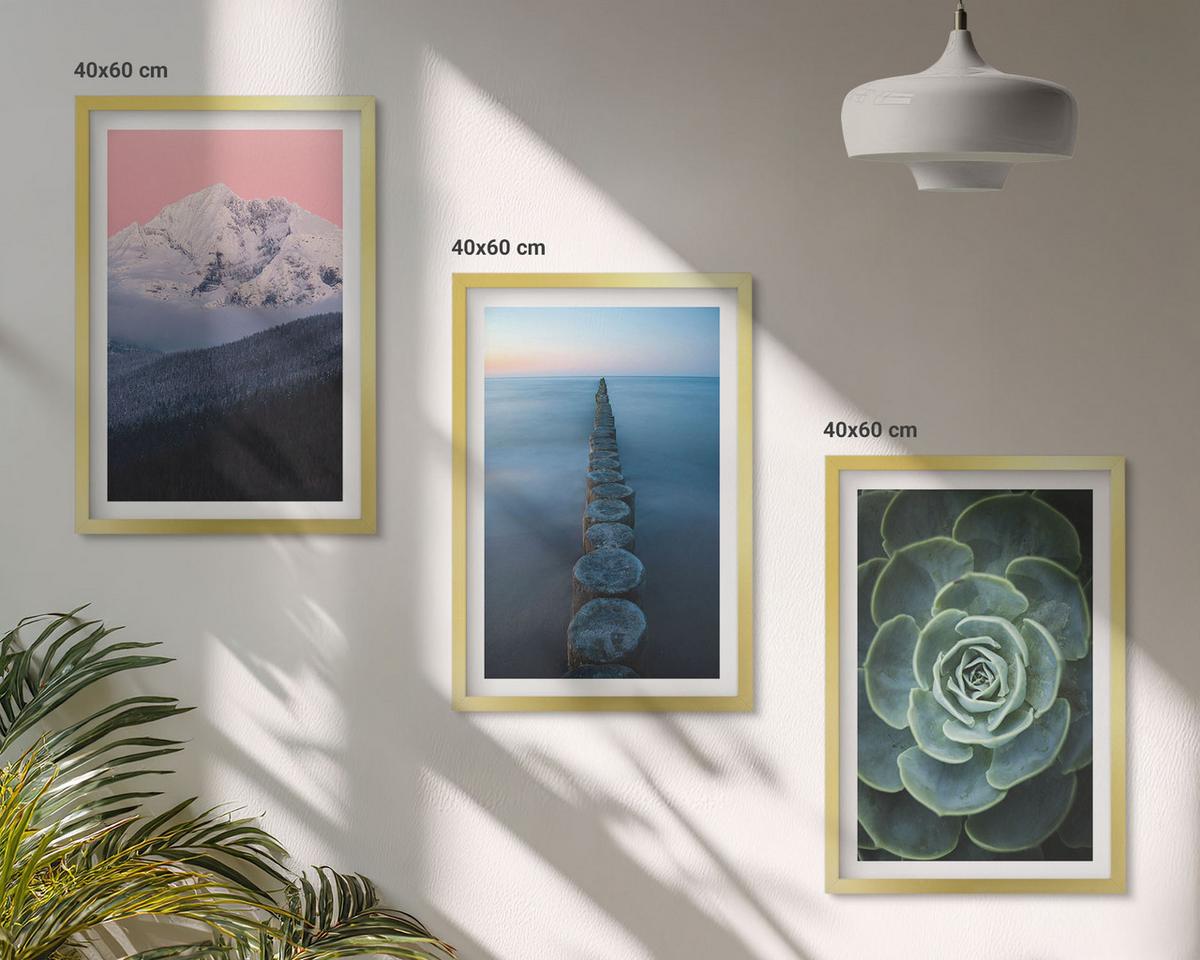 BILDER SET 3er Set - 40x60 cm Goldrahmen - Berge, rosa Himmel, Wasser, Sukkulente - Goldfarben, Kunststoff (40/60cm) - TULUP